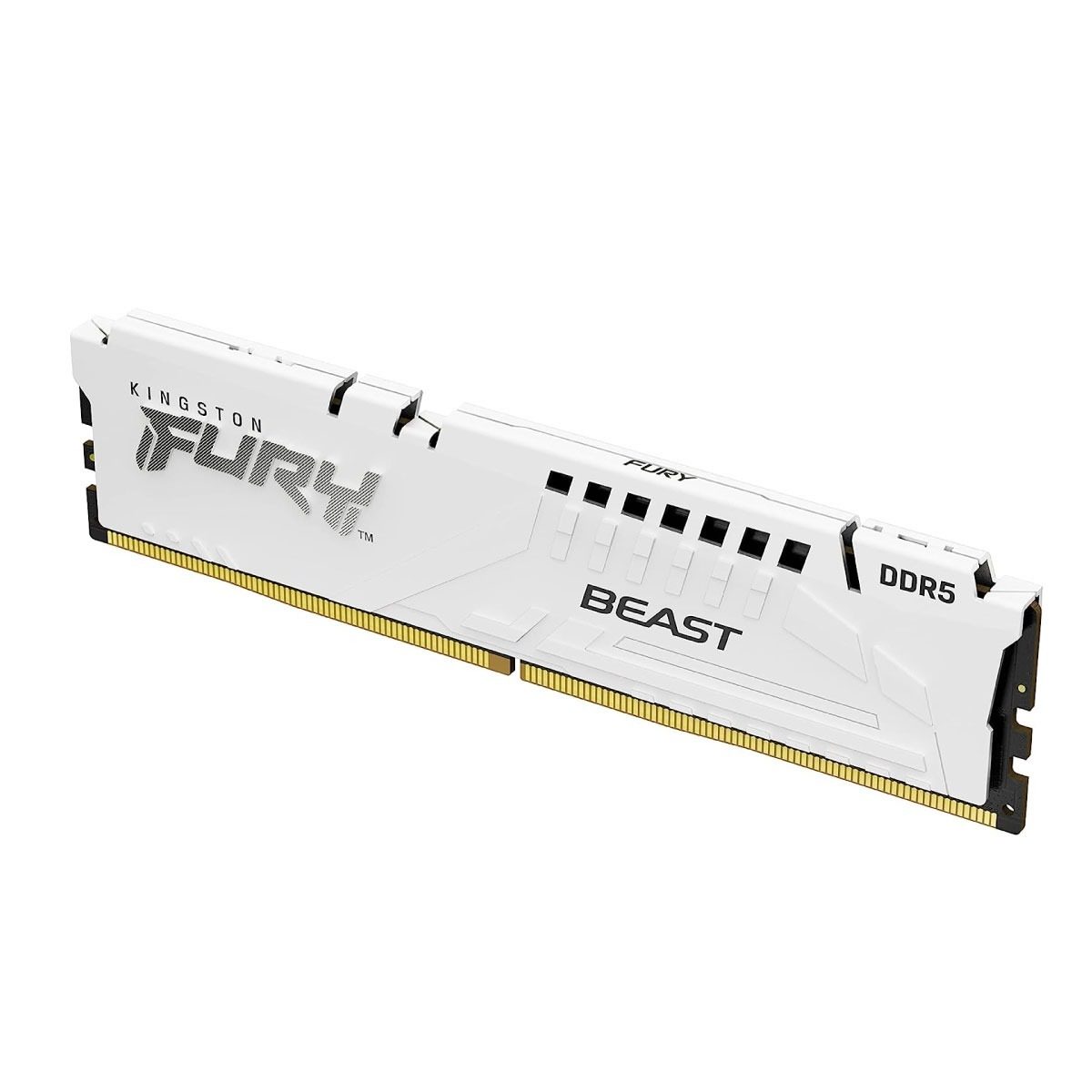 Memoria RAM Ddr5 16GB 5600MT/s Cl36