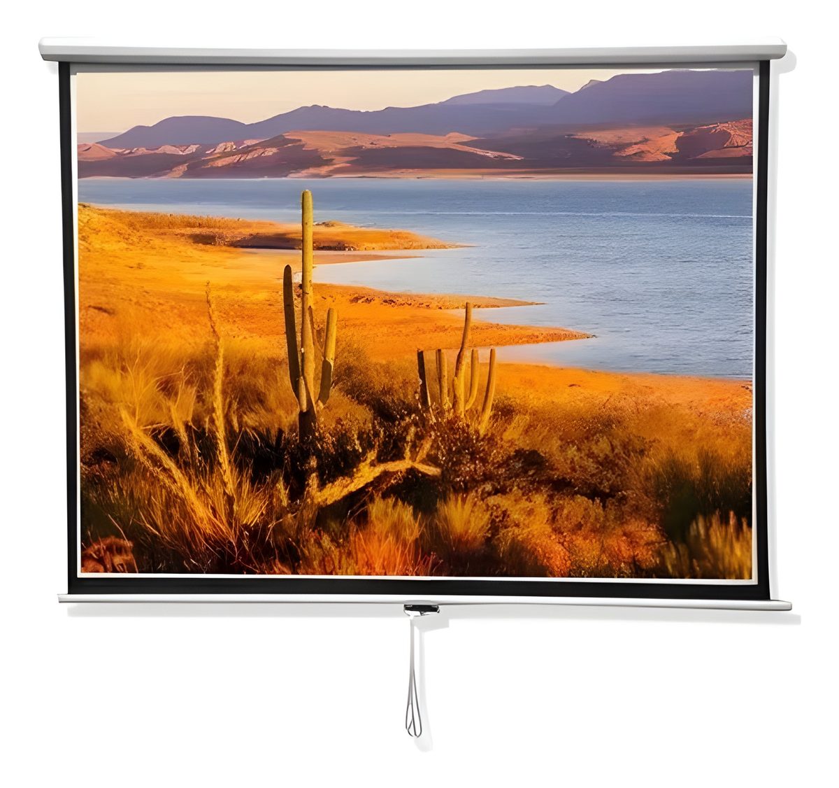 Pantalla De Proyección 84"
