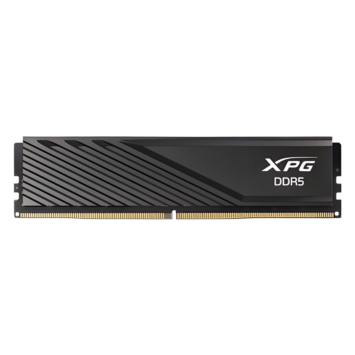 Memoria RAM Ddr5 32GB 5600MT/s Cl46 Udimm