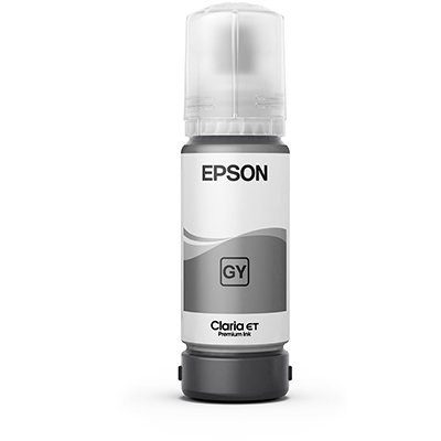 Tóner Epson T555 Gris Foto