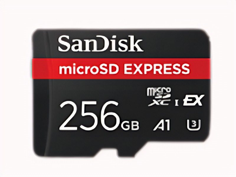 Tarjeta De Memoria Microsdxc 256GB Pcie Gen3 880/650MB/s