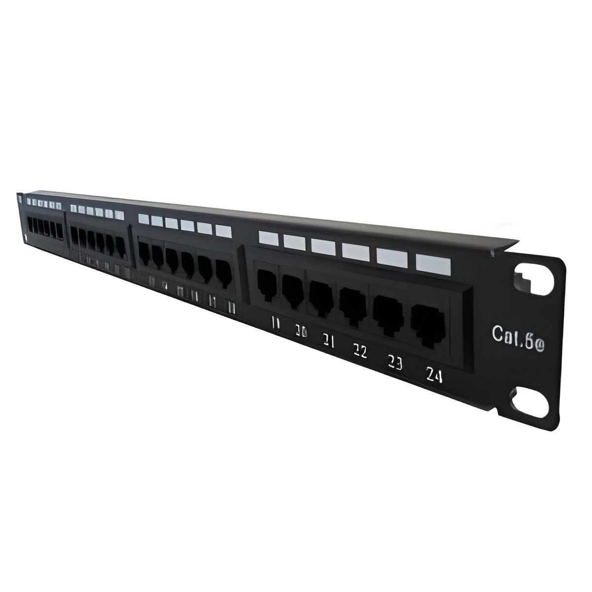 Patchera 24 Puertos Cat5e Con Organizador