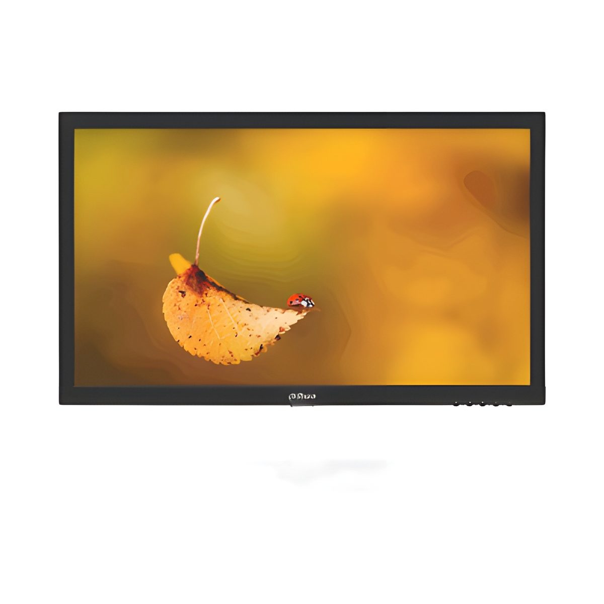 Monitor Tn 19.5" 1600×900 75Hz