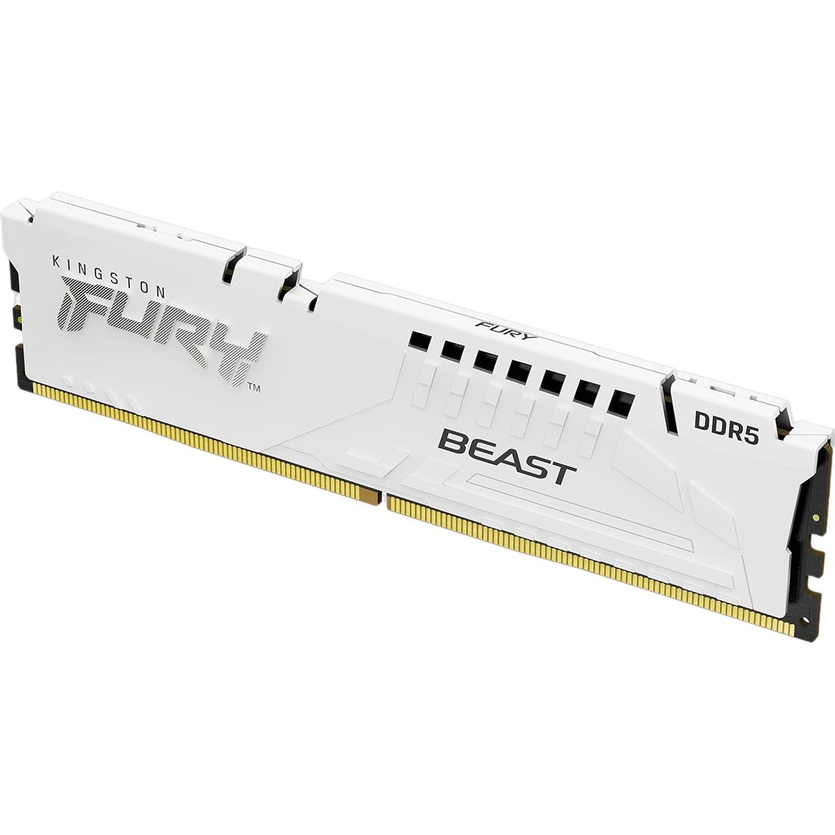 Memoria RAM Ddr5 16GB 6400MHZ