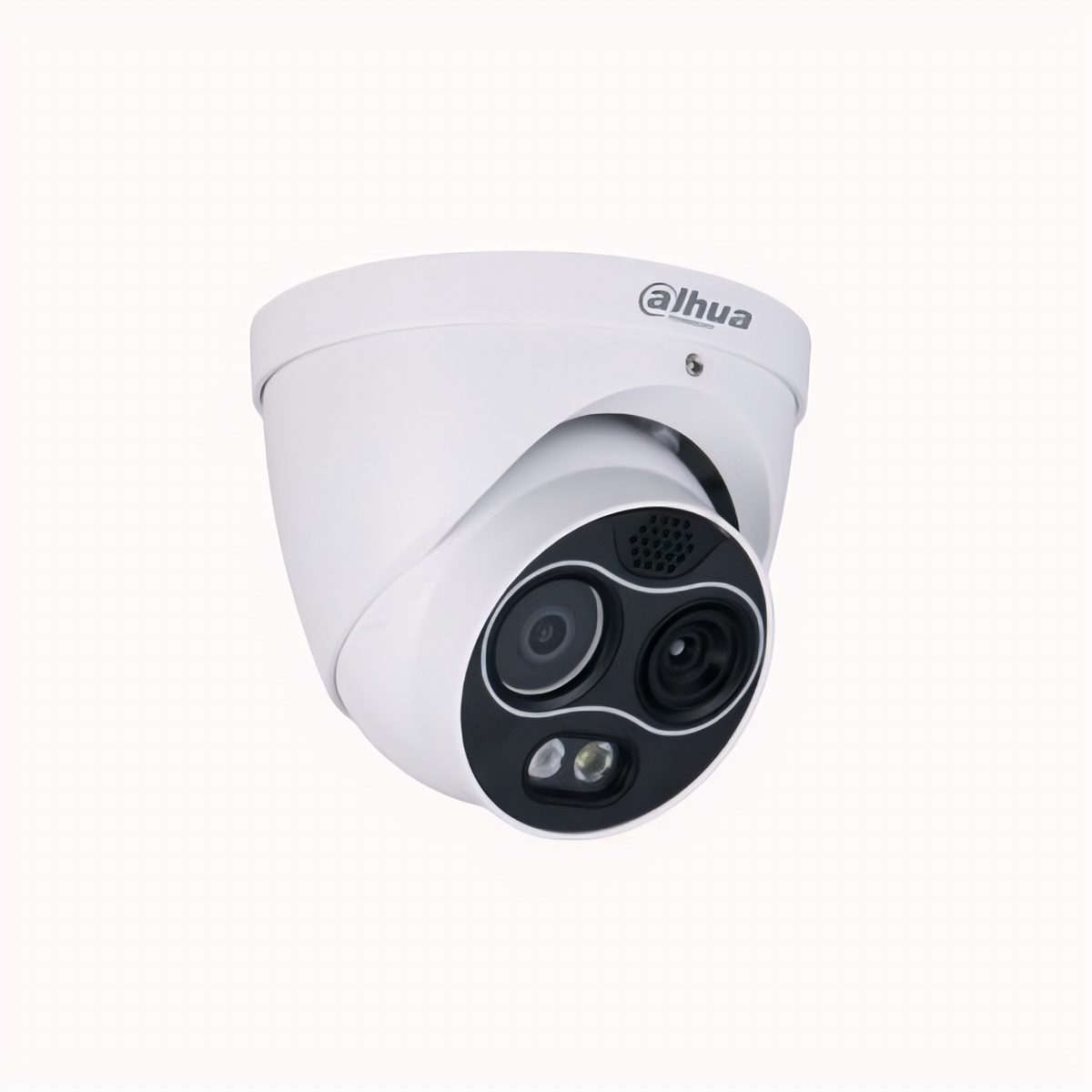 Cámara Ocular Térmica IP 4MP WizSense