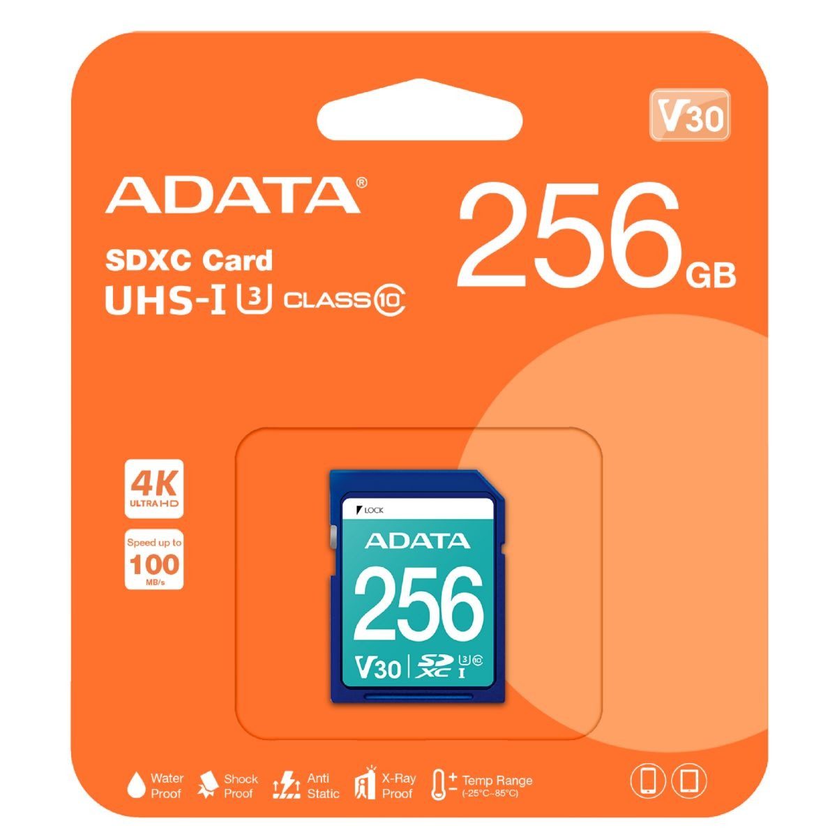 Memoria Sdxc 256GB Uhs-I U3 V30