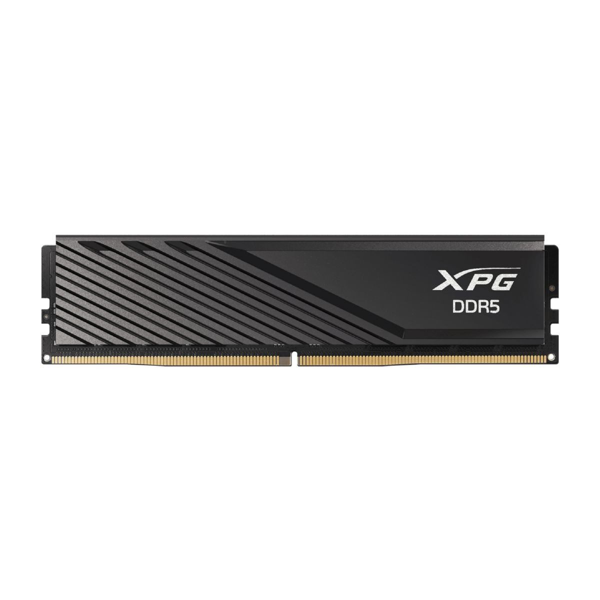 Memoria RAM Ddr5 8GB 5600 MHZ Udimm Cl46