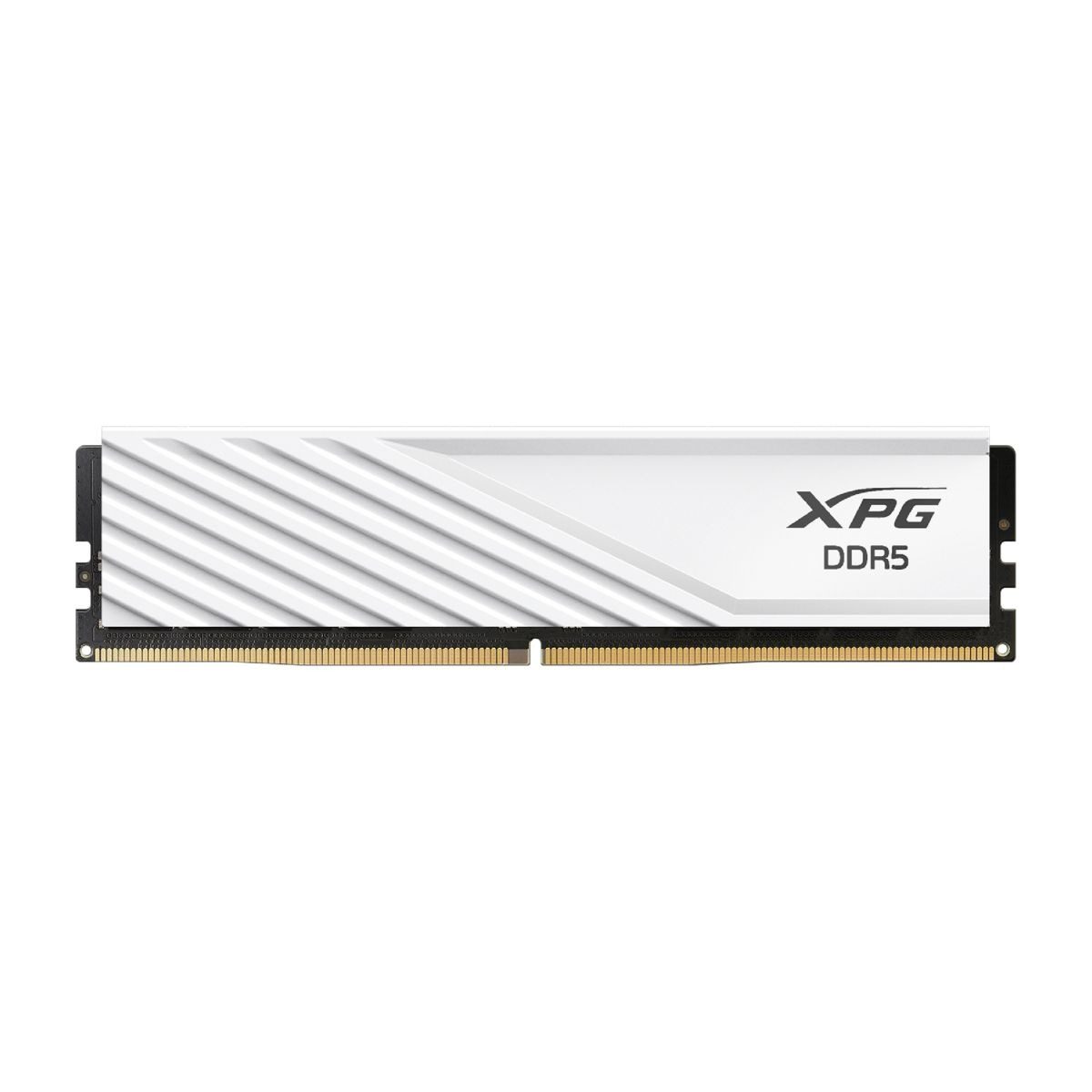 Memoria RAM Ddr5 8GB 5600MHZ Cl46 Udimm
